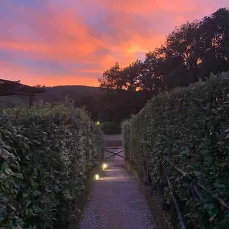 Rifugio Toscano Tra Le Colline Apartamento San Gimignano